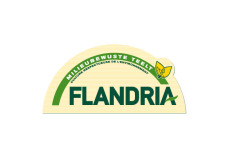 Flandria